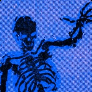 Meet your Posher, Riley